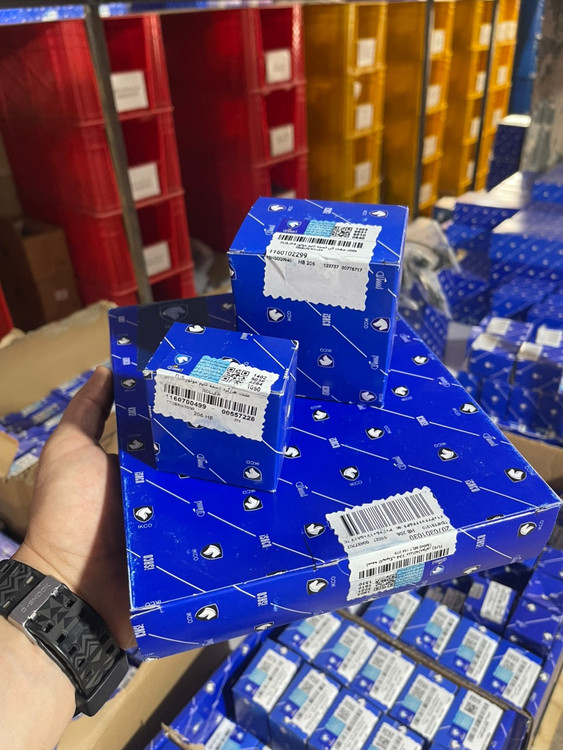 تسمه رایکاآلتون آلمان